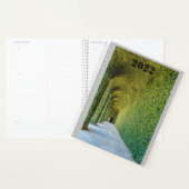 green greenhouse ficus repens on planner (Display)