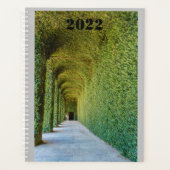 green greenhouse ficus repens on planner (Voorkant)