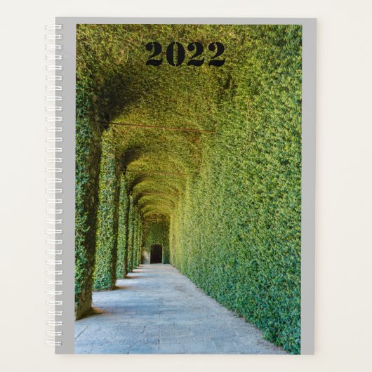 green greenhouse ficus repens on planner (Voorkant)
