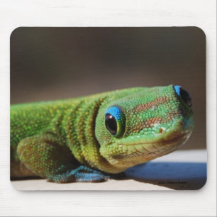 Green guy muismat