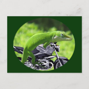 Green Hawaiian Gecko Rider Briefkaart