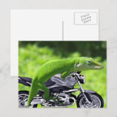 Green Hawaiian Gecko Rider Briefkaart (Voorkant / Achterkant)