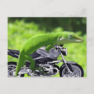 Green Hawaiian Gecko Rider Briefkaart
