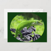 Green Hawaiian Gecko Rider Briefkaart (Voorkant / Achterkant)