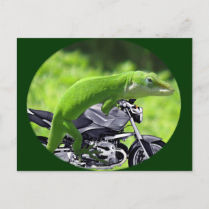 Green Hawaiian Gecko Rider Briefkaart