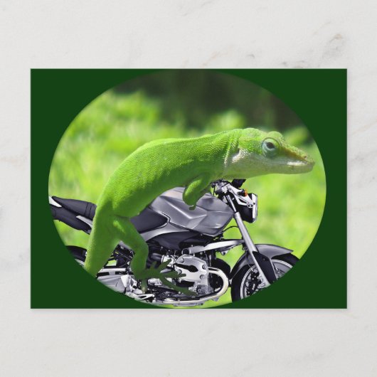 Green Hawaiian Gecko Rider Briefkaart (Voorkant)