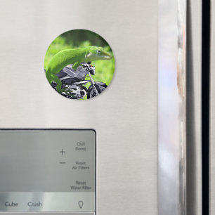 Green Hawaiian Gecko Rider Magneet