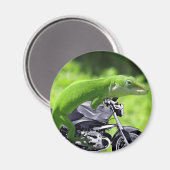 Green Hawaiian Gecko Rider Magneet (Voorkant / Achterkant)