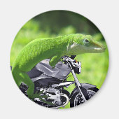 Green Hawaiian Gecko Rider Magneet (Voorkant)
