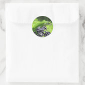 Green Hawaiian Gecko Rider Ronde Sticker (Tas)