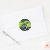 Green Hawaiian Gecko Rider Ronde Sticker (Envelop)