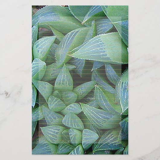 Green Haworth Planten Lond Stationery Briefpapier (Voorkant)