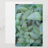 Green Haworth Planten Lond Stationery Briefpapier (Voorkant / Achterkant)