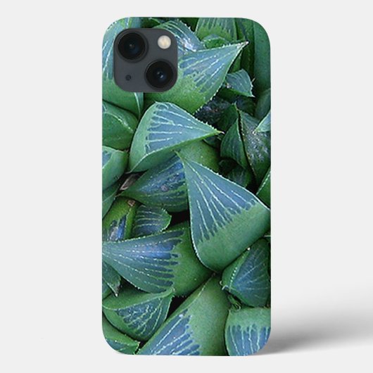 Green Haworth Succulent Planten iPhone Case (Achterkant)