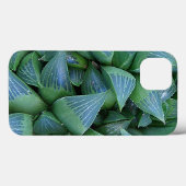 Green Haworth Succulent Planten iPhone Case (Achterkant (horizontaal))
