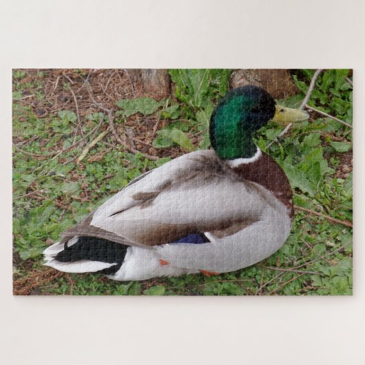 Green Head Duck Jigzaag Puzzle Legpuzzel (Horizontaal)