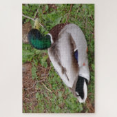 Green Head Duck Jigzaag Puzzle Legpuzzel (Verticaal)