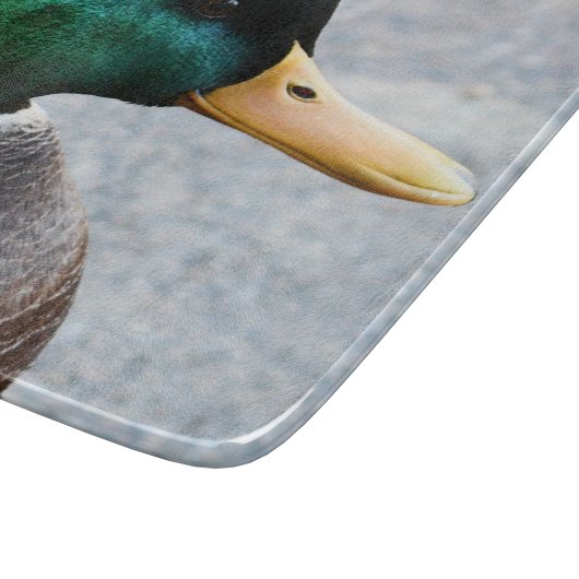 Green Headed Mallard Drake Foto Snijplank (Hoek)