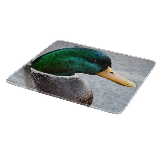 Green Headed Mallard Drake Foto Snijplank (Hoek)