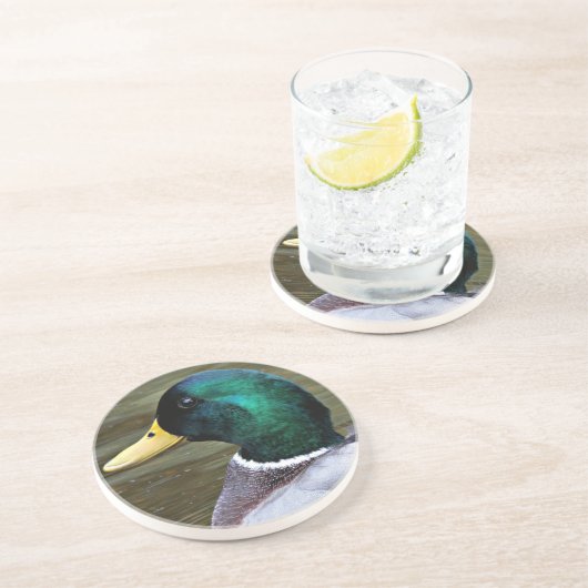 Green Headed Mallard Duck Photo Sandstone Zandsteen Onderzetter (Zijkant)