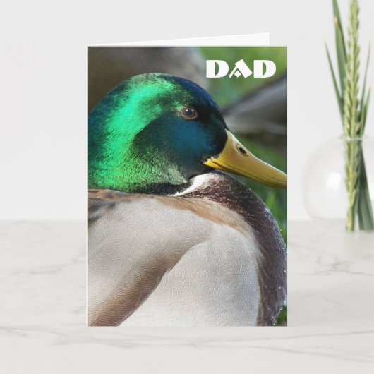 Green Headed Mallard Duck-Vaderdag kaart (Voorkant)