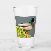 Green Headed Mallard Duck Wildlife Foto Glas (Voorkant)