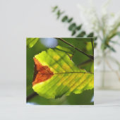 Green Herfst Leaf (Staand voorkant)