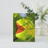 Green Herfst Leaf Briefkaart (Staand voorkant)