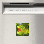 Green Herfst Leaf Magneet (Insitu (Vaatwasser))