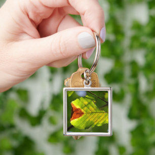 Green Herfst Leaf Sleutelhanger