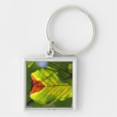 Green Herfst Leaf Sleutelhanger (Voorkant)