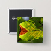 Green Herfst Leaf Vierkante Button 5,1 Cm (Voorkant /achterkant)