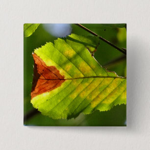 Green Herfst Leaf Vierkante Button 5,1 Cm