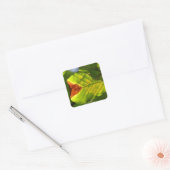 Green Herfst Leaf Vierkante Sticker (Envelop)
