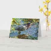 "Green Heron 1." Wenskaart Kaart (Gele Bloem)