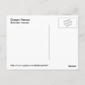 Green Heron Briefkaart (Achterkant)