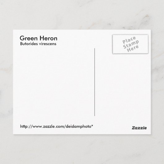 Green Heron Briefkaart (Achterkant)