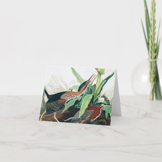 Green Heron door John James Audubon Bedankkaart (Voorkant)