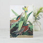 Green Heron door John James Audubon Bedankkaart (Staand voorkant)