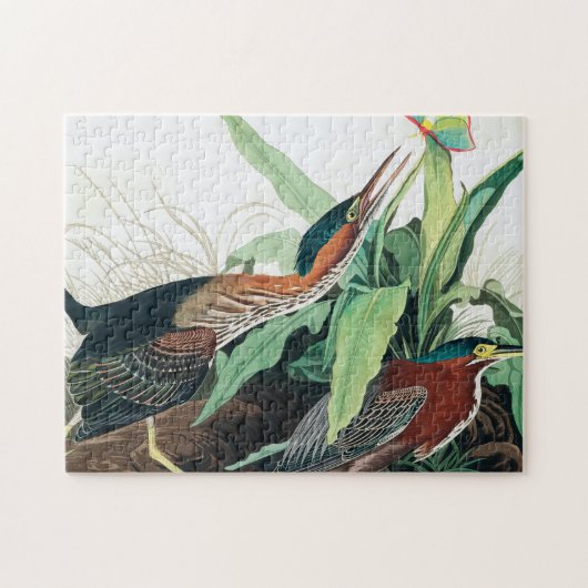 Green Heron door John James Audubon Legpuzzel (Horizontaal)