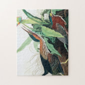 Green Heron door John James Audubon Legpuzzel (Verticaal)