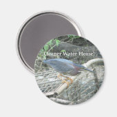 Green Heron Ecology magnet (Voorkant / Achterkant)