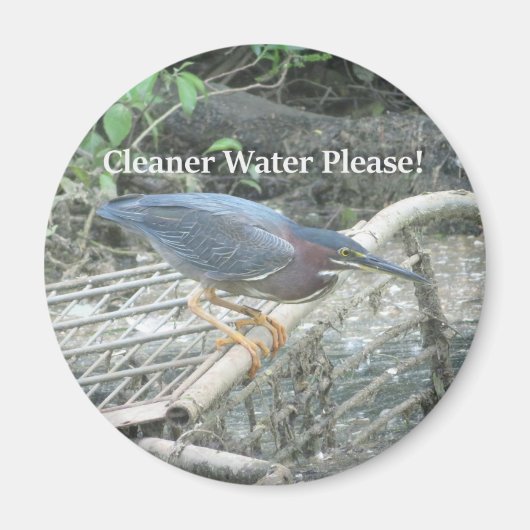 Green Heron Ecology magnet (Voorkant)