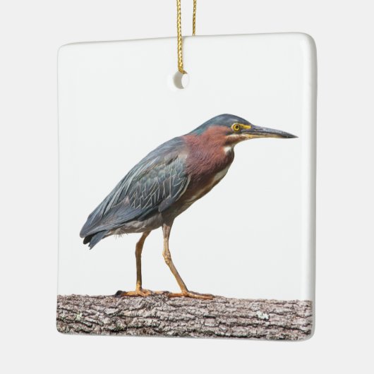 Green Heron Keramisch Ornament (Links)