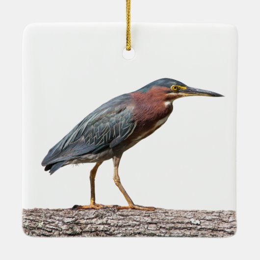 Green Heron Keramisch Ornament (Achterkant)