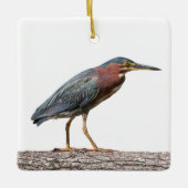Green Heron Keramisch Ornament (Voorkant)