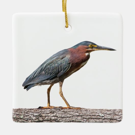 Green Heron Keramisch Ornament (Voorkant)