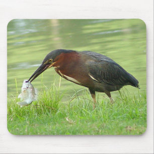 Green Heron met vis Mousepad 2 Muismat