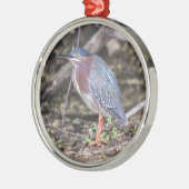 Green Heron Metalen Ornament (Links)