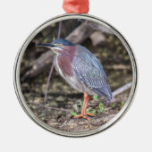 Green Heron Metalen Ornament (Voorkant)